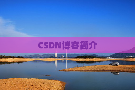 CSDN博客简介